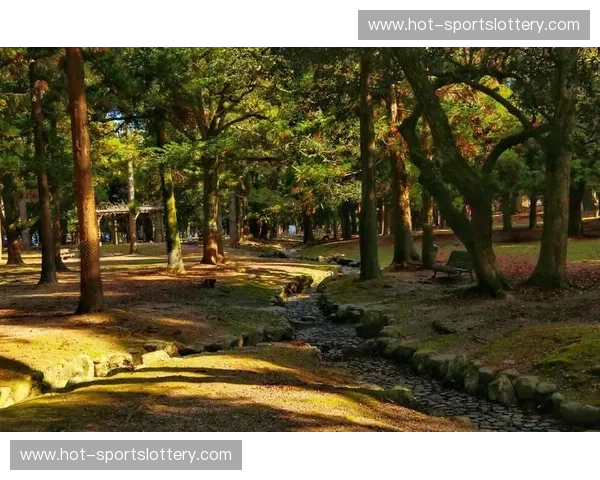 古都韵味与山野之趣：京都与岐阜，一场穿越时空的日式风情体验